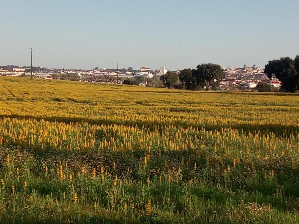 Monte Da Serralheira Agro Turismo Villa Évora Kültér fotó