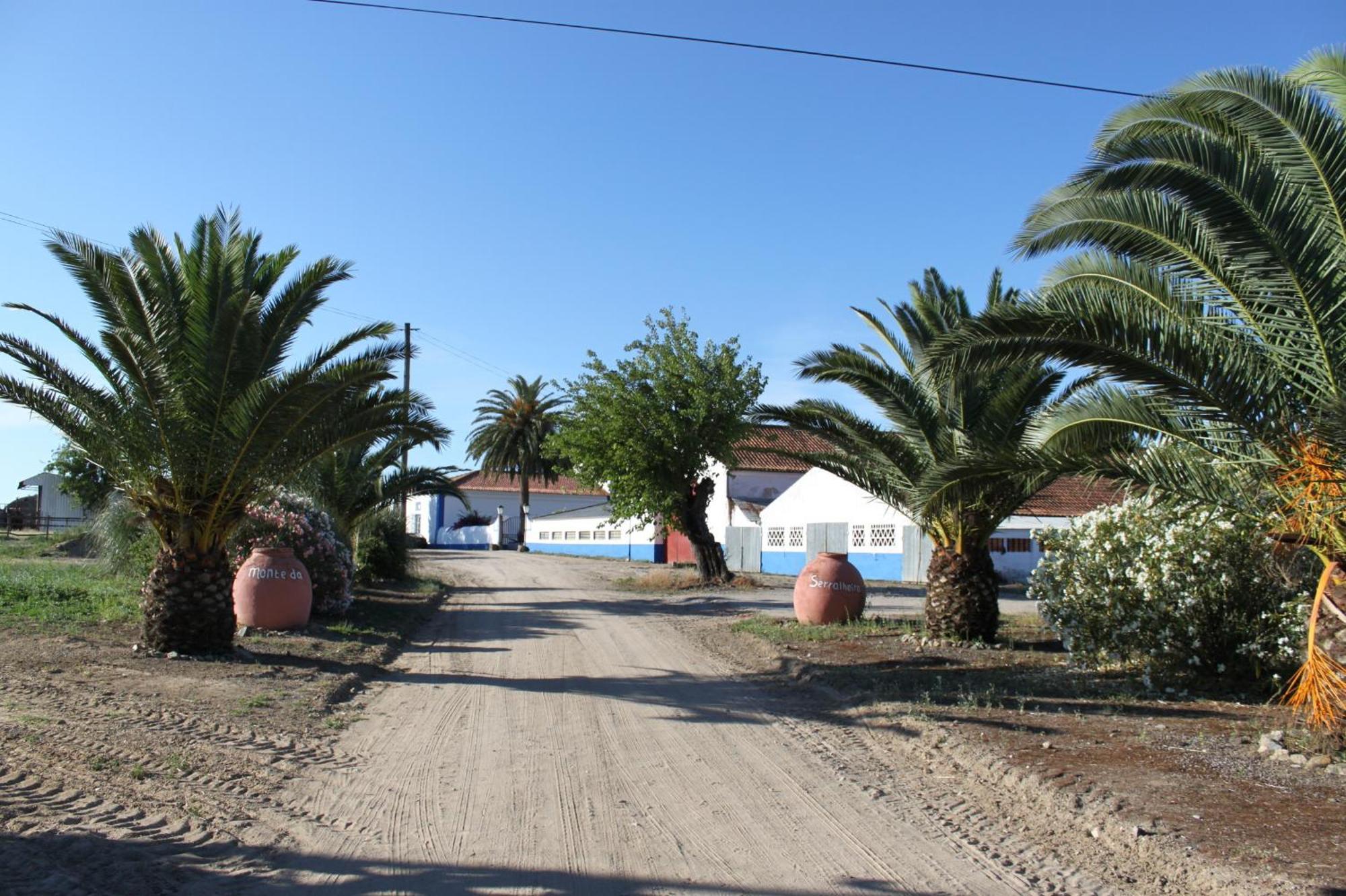 Monte Da Serralheira Agro Turismo Évora Kültér fotó
