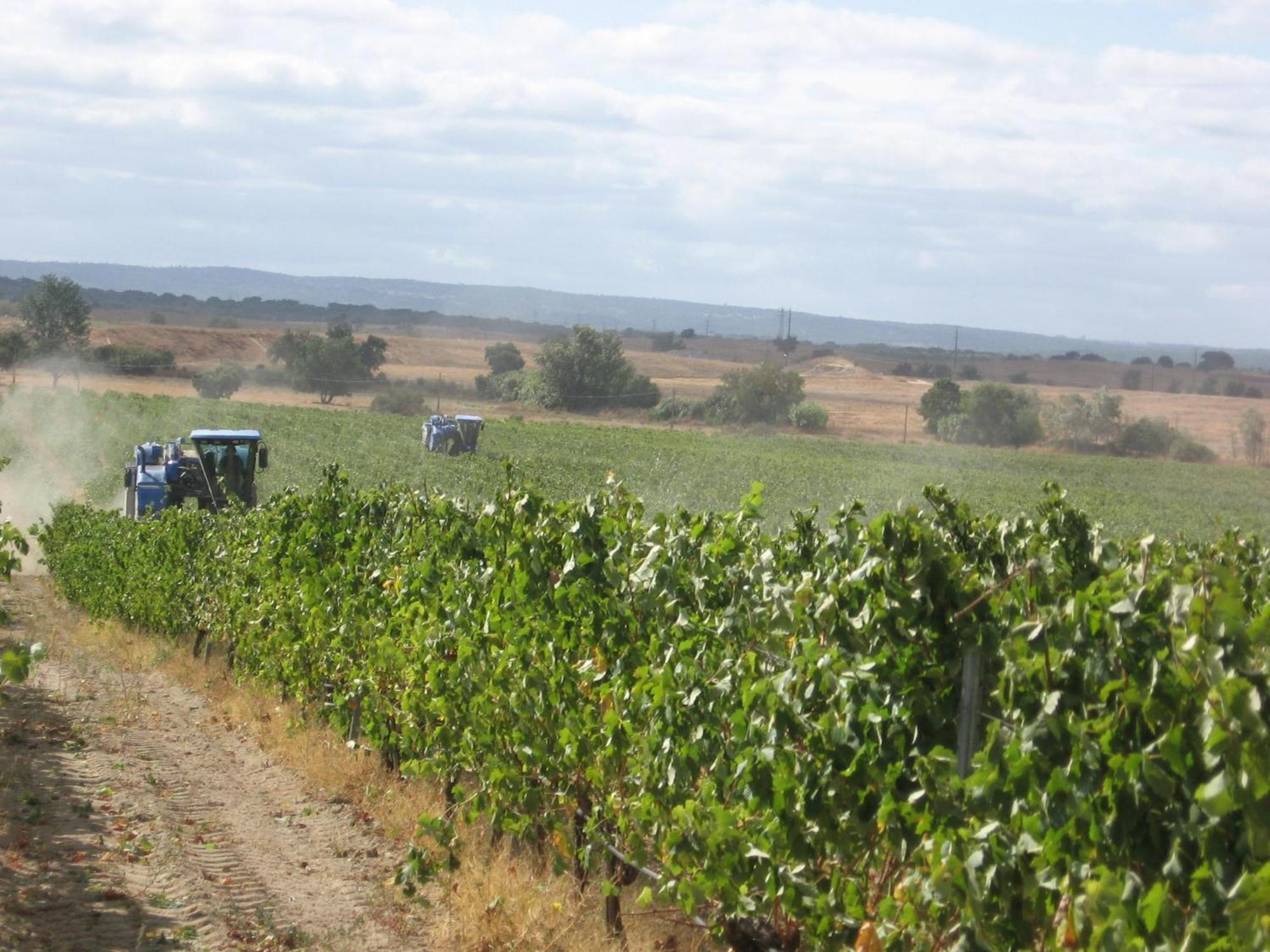 Monte Da Serralheira Agro Turismo Évora Kültér fotó