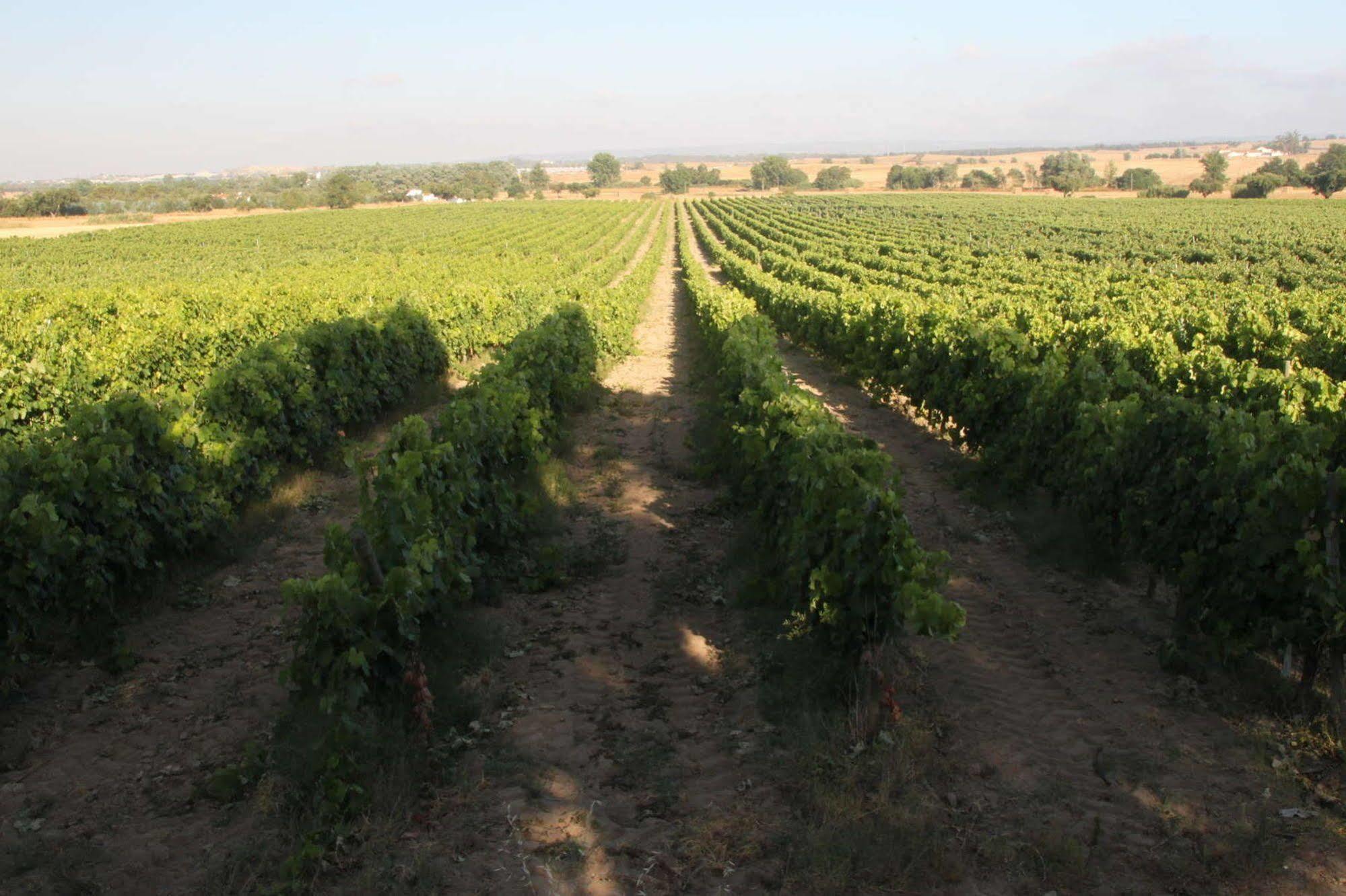 Monte Da Serralheira Agro Turismo Évora Kültér fotó